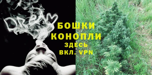 стафф Богородицк