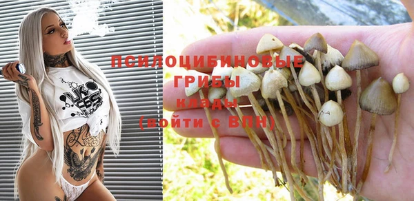 стаф Бородино