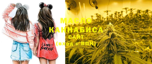 ECSTASY Богданович