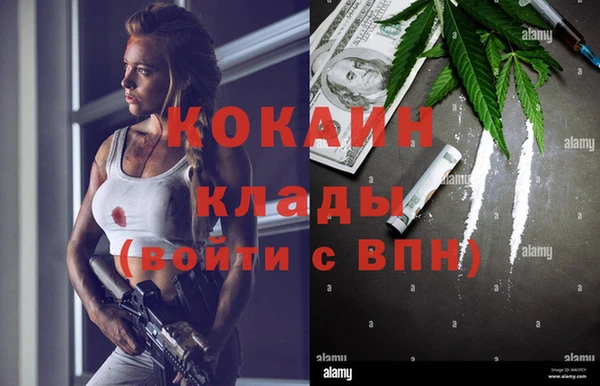 ECSTASY Богданович