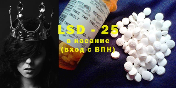 ECSTASY Богданович