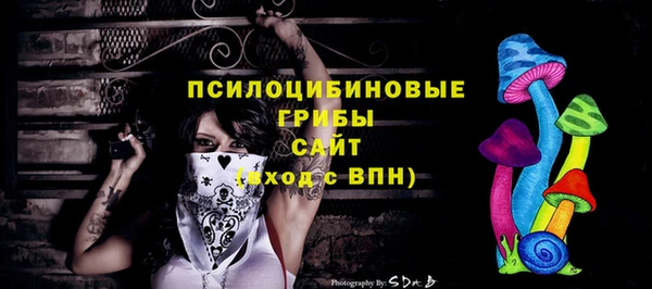 ECSTASY Бронницы