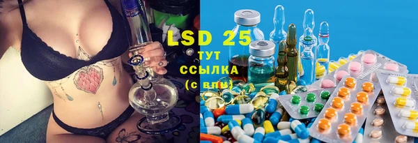 стаф Бородино