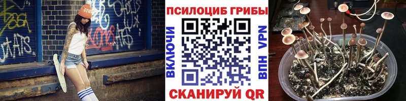 Псилоцибиновые грибы прущие грибы  Юрга 